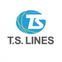 T s lines